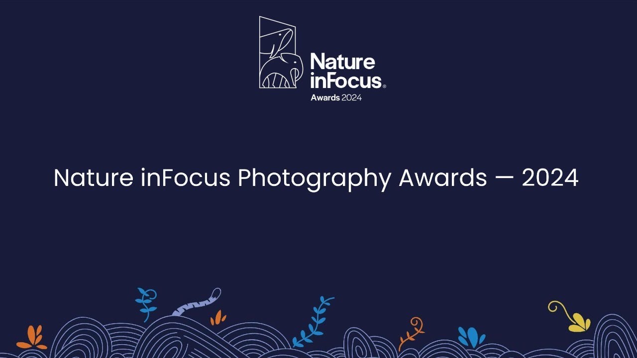 🏆 Nature inFocus Photography Awards 2024 - Results 🏆