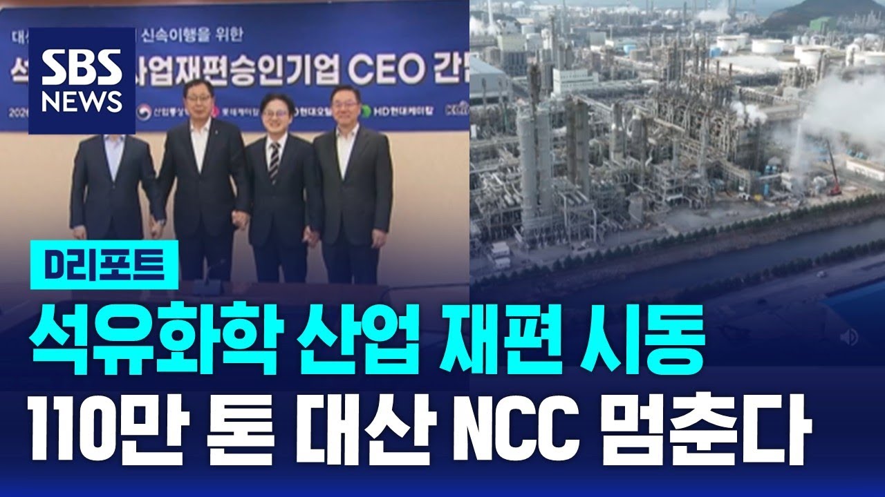 석유화학 산업 재편 시동…110만 톤 대산 NCC 멈춘다 / SBS / #D리포트