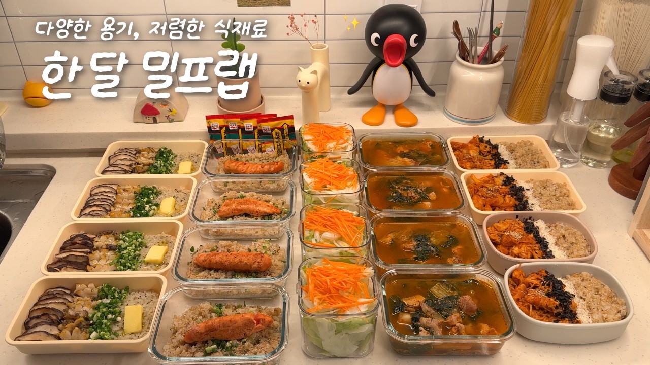 저렴한 식재료로!💥한달 점심 밀프렙 만들기🍙ㅣ500원 샐러드🥕ㅣ순살 감자탕🍲ㅣ눈꽃치즈 닭갈비덮밥🧀ㅣ명란 오차즈케🍵ㅣ전복솥밥🐚