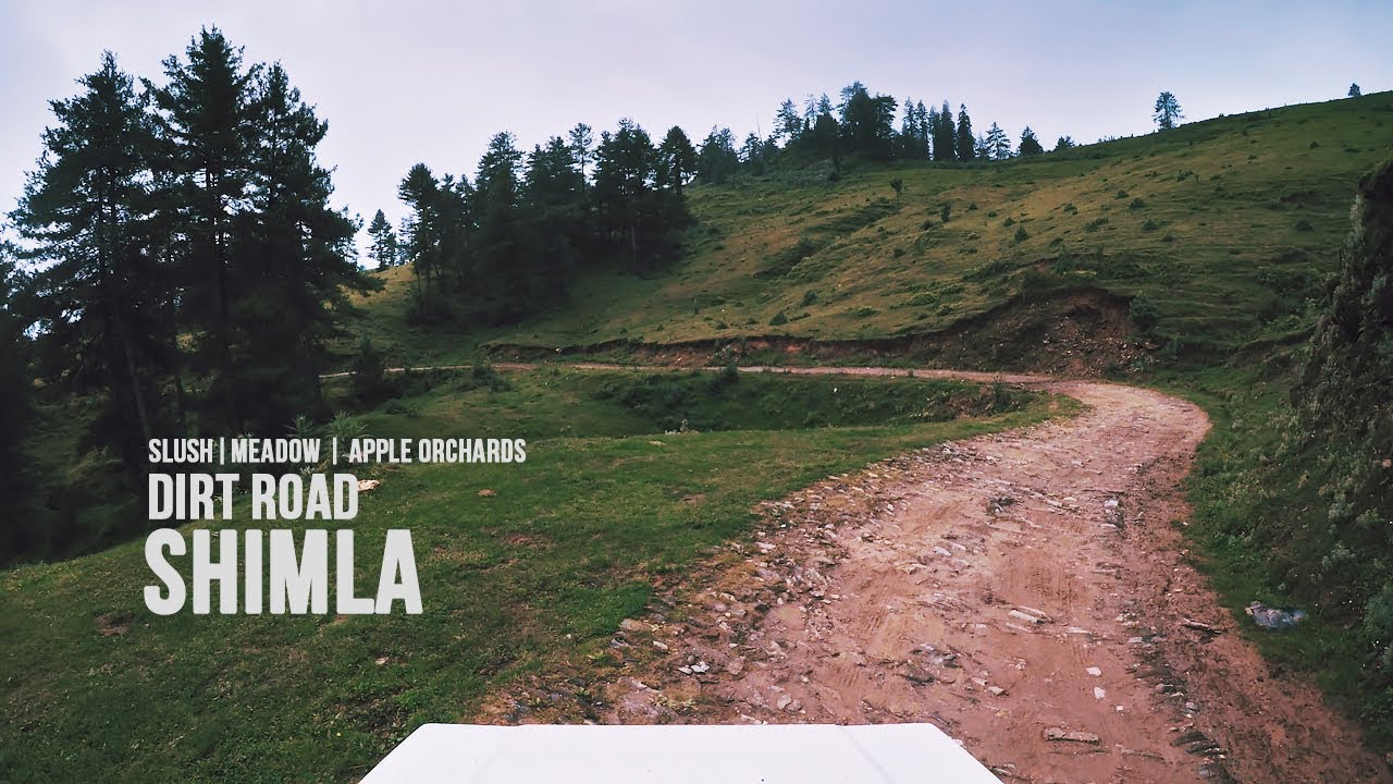 Forest Dirt Road to a Meadow in Shimla