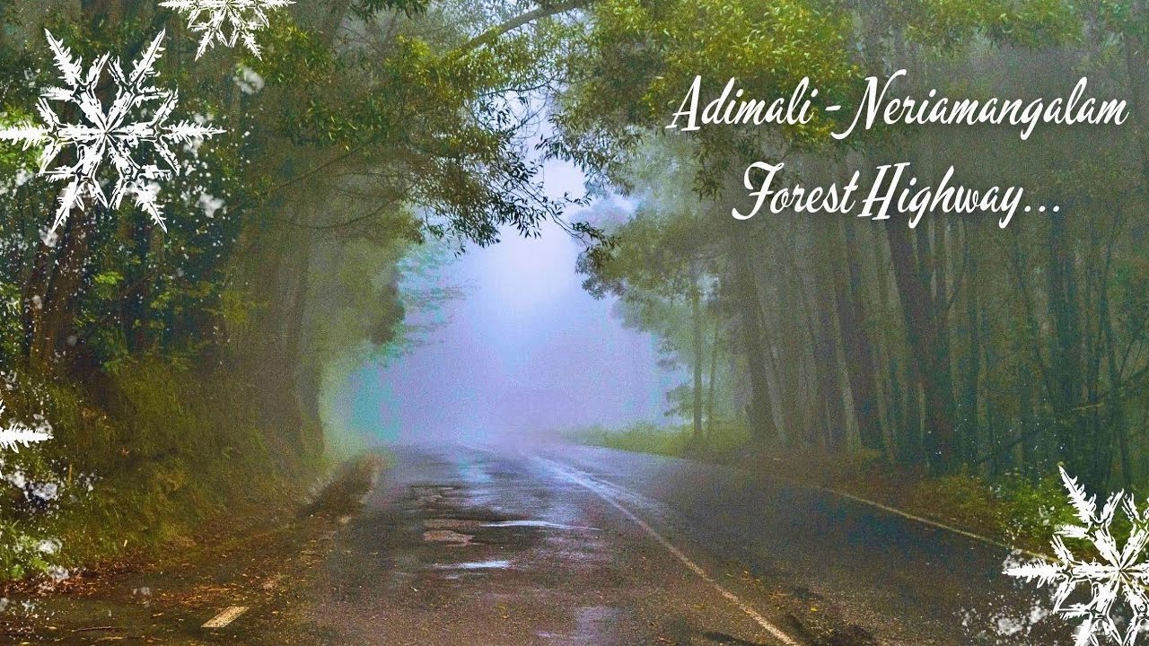 Adimali - Neriamangalam Misty Road Drive | Experience Greenery of Kerala | Cinematic Full HD