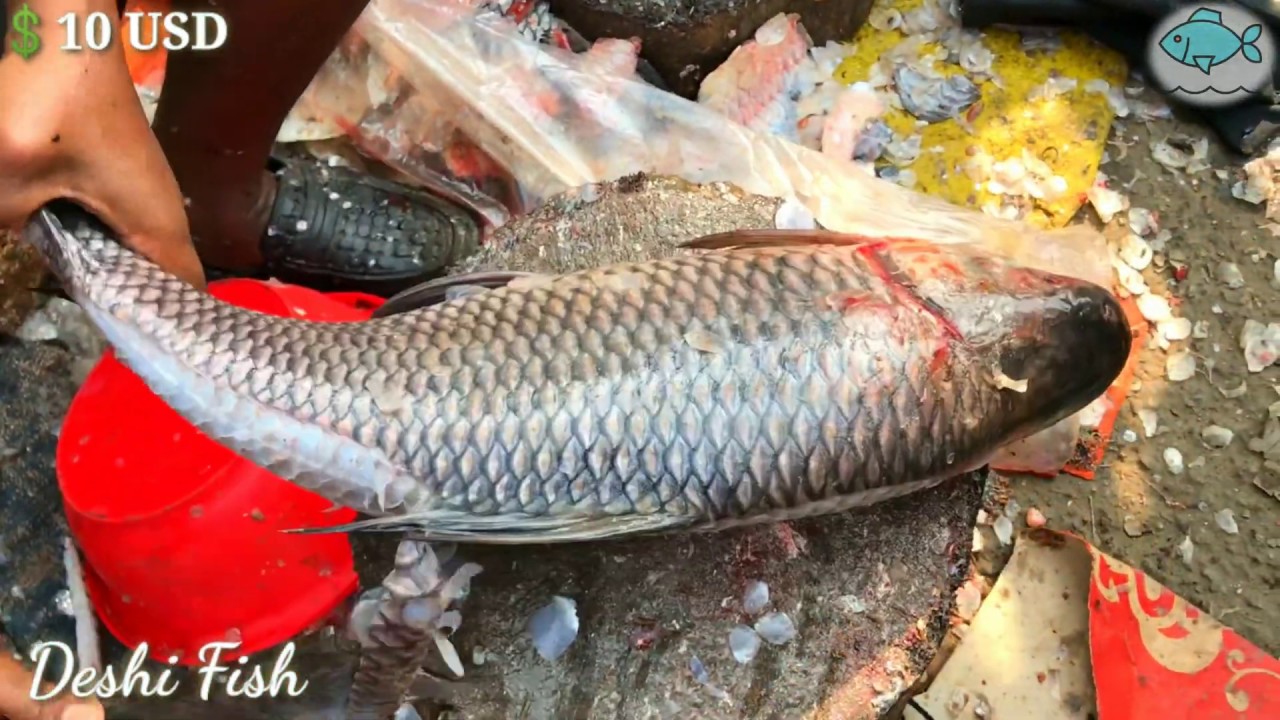 Impressive Fisherman Big Rohu Fish Skinning And Cutting Skills At  Bangladesh Fish Market