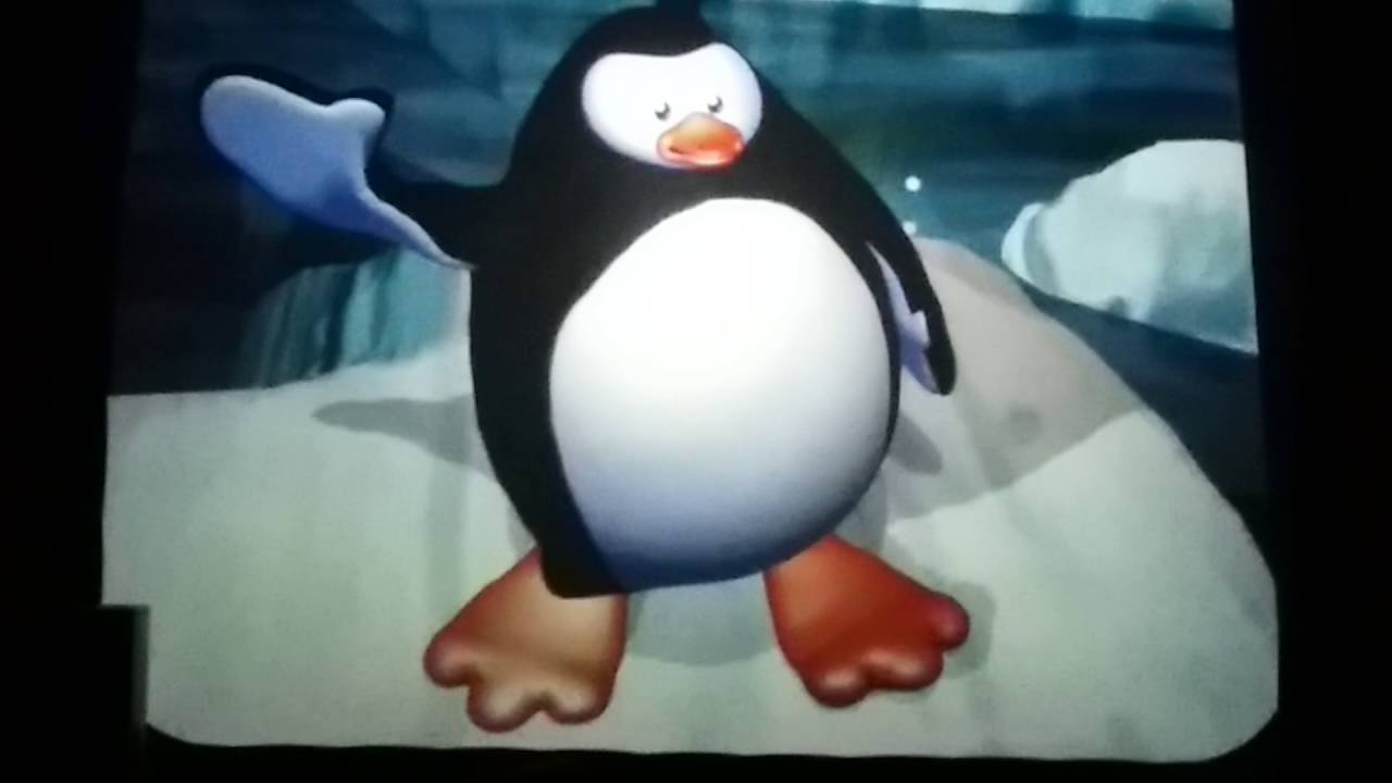 Manila Ocean Park | Penguin Talk Show