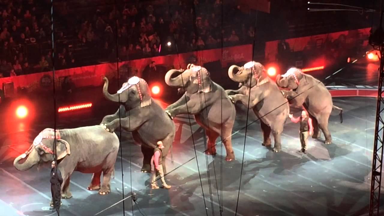 Ringling Brothers Barnum & Bailey Highlights at BJCC 2015