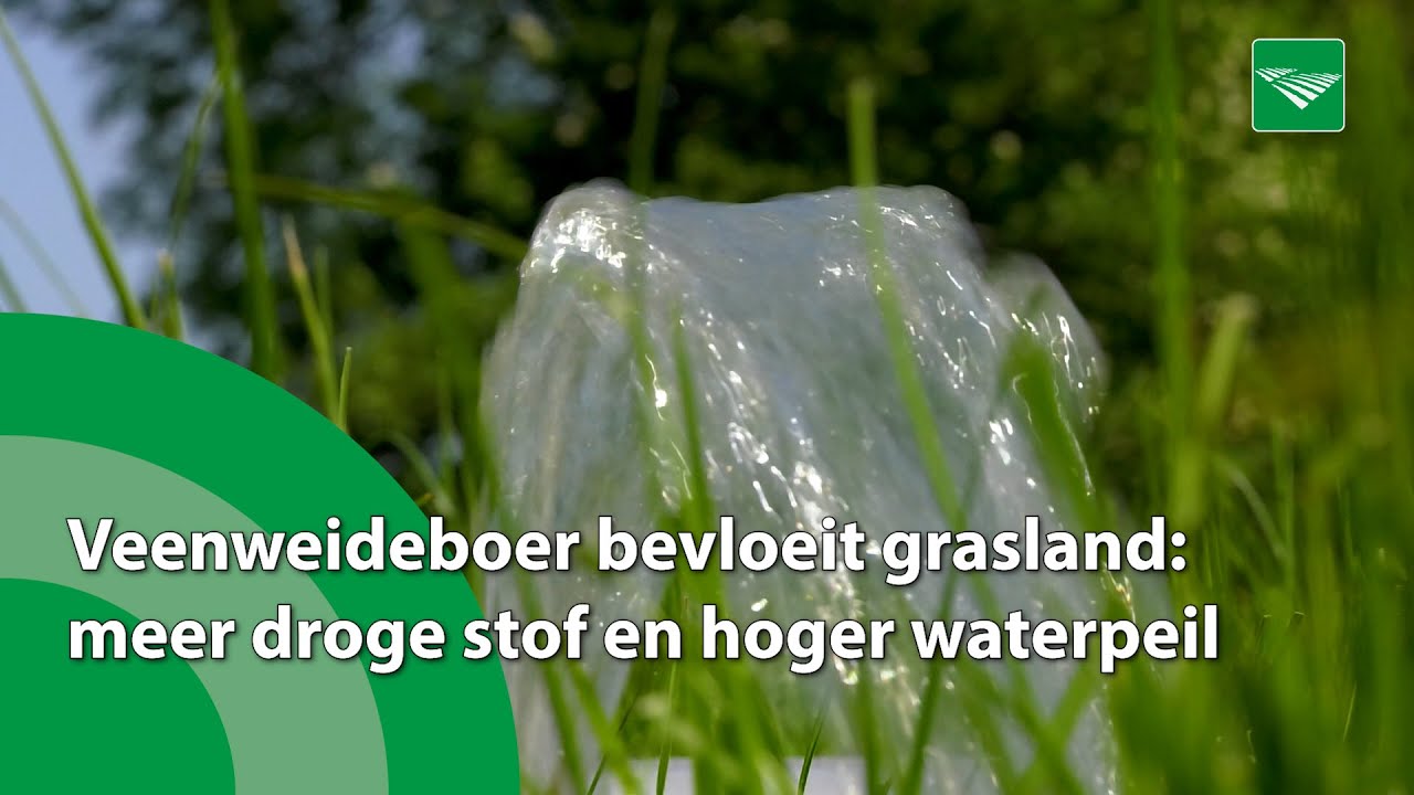 Meer droge stof en hoger grondwaterpeil door bevloeiing