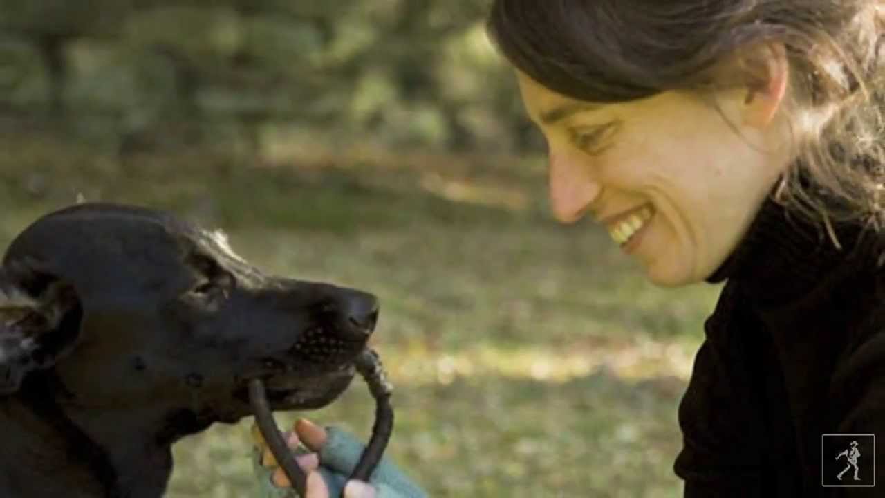 Learn to understand your dog with author Alexandra Horowitz