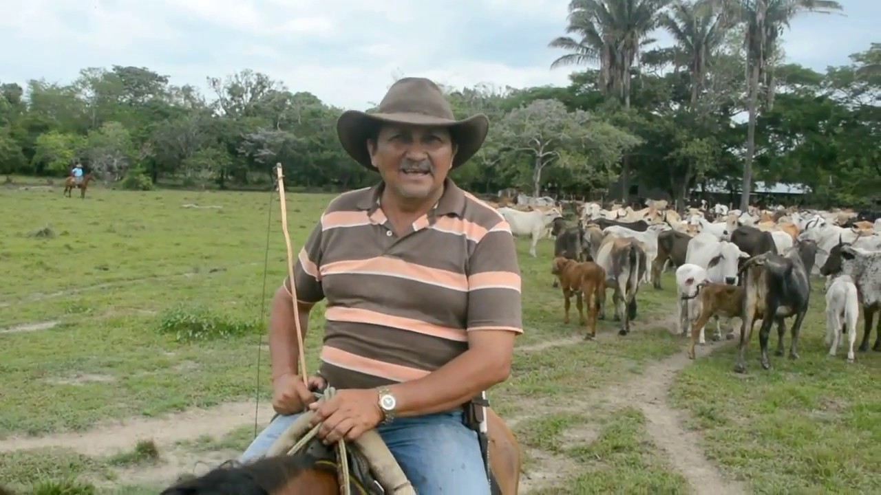 Cantos de vaquerias