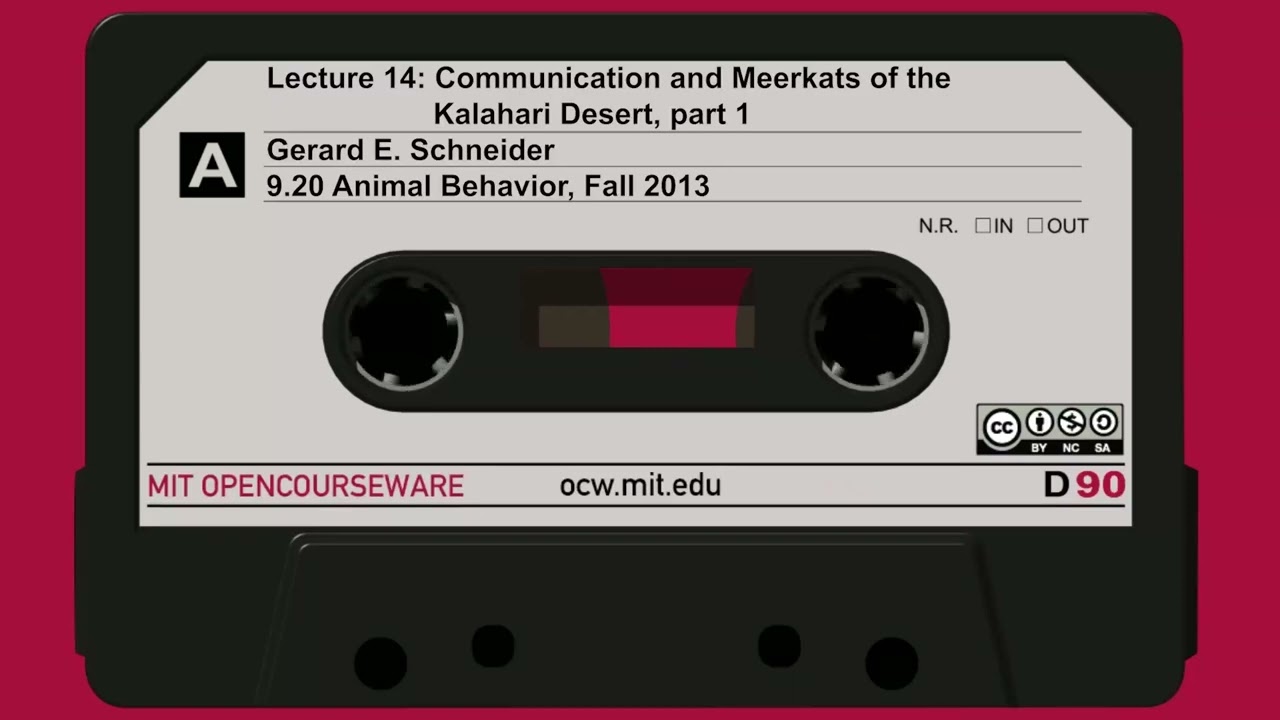 Lec14: Communication and Meerkats of the Kalahari Desert, part 1