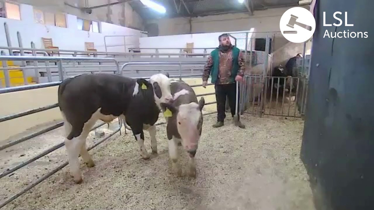 Kilmallock Lot 5015 11-01-2021