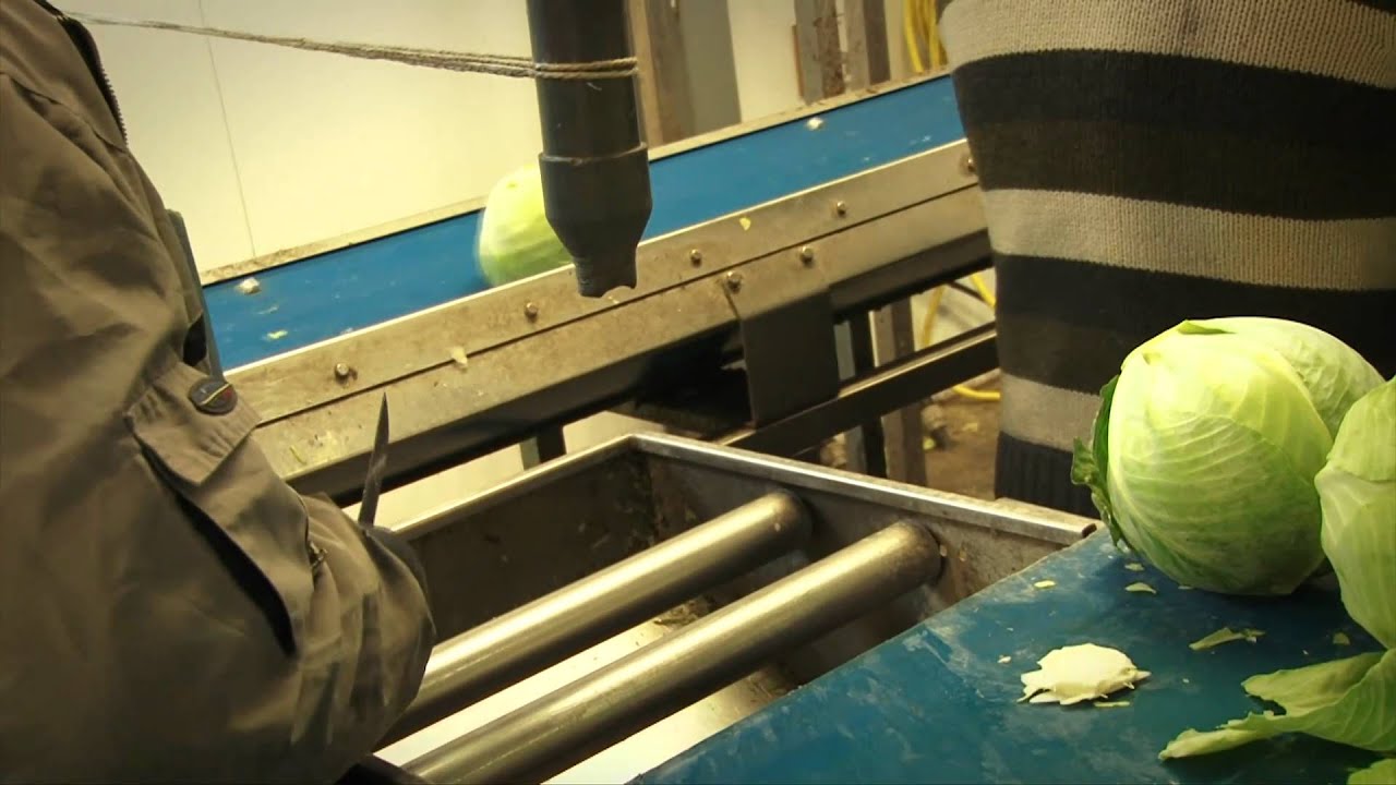 Groot geworden door kansen en kansjes zien en pakken