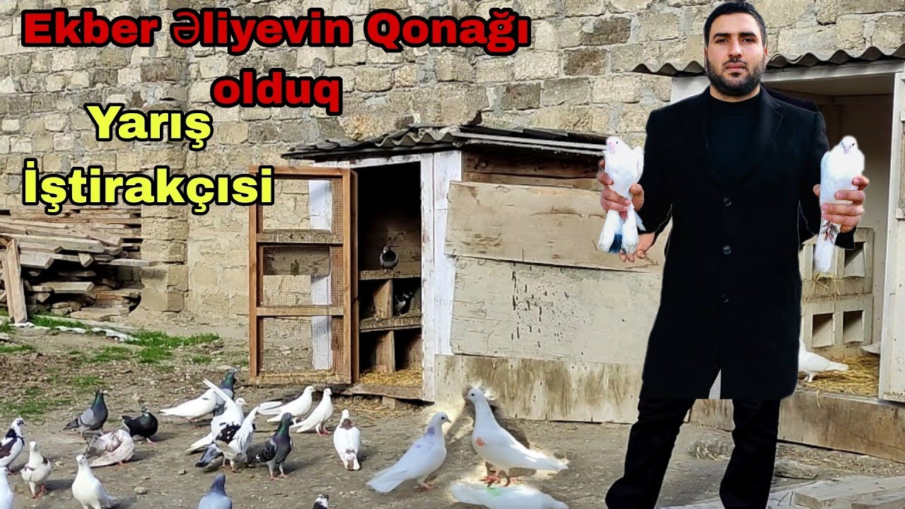 YARİS İSTİRAKÇISI EKBER ELİYEVİN GÖYERÇİNLERİ 31 dekabr 2022