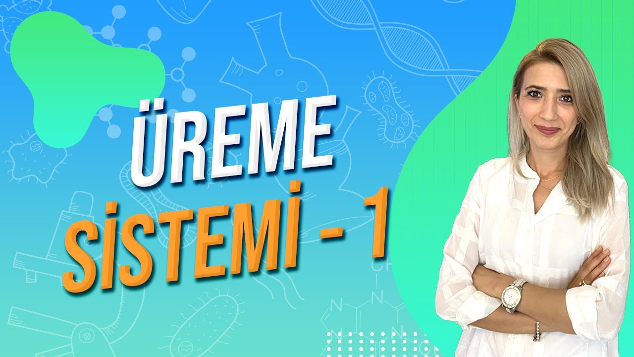 ÜREME SİSTEMİ 1 | Seda Hoca Biyoloji 🧬#ayt2024