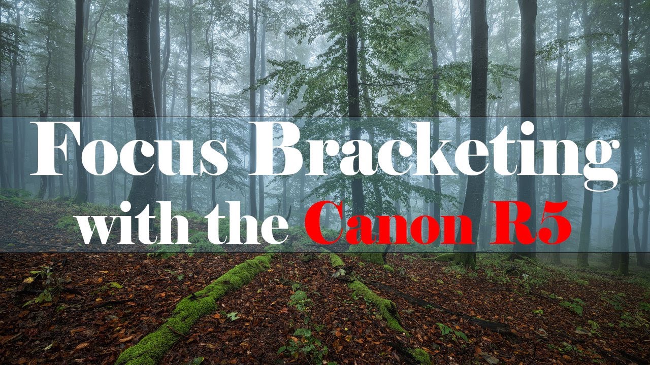 Брекетинг фокусировки с Canon R5