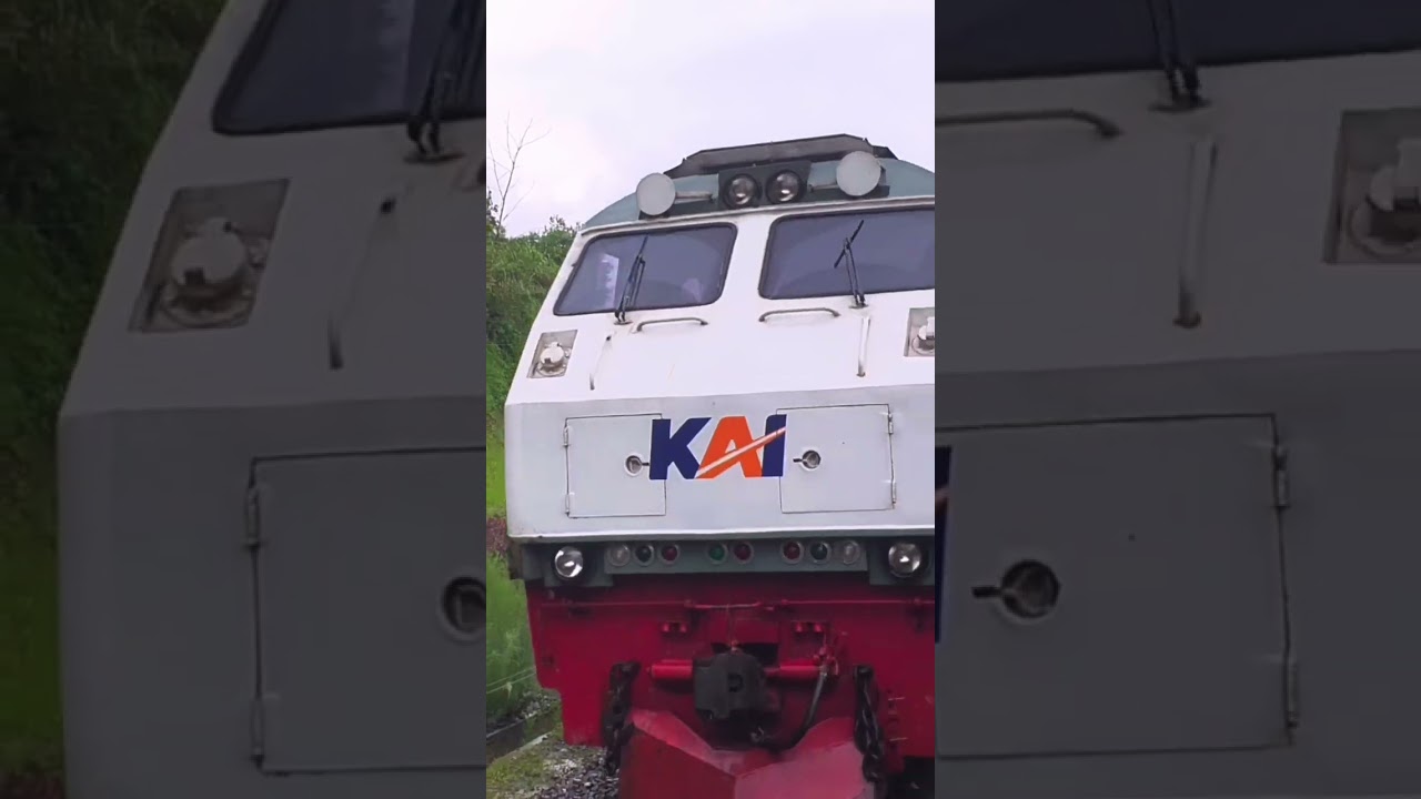 Malabar train met Serayu train in Cirahayu station #ptkai #railfansindonesia #kamalabar #kaserayu