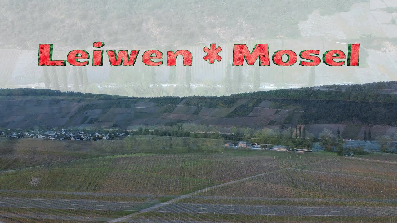 Leiwen * Mosel * Eurostrand Resort