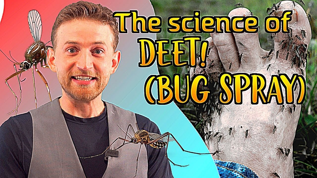 How does DEET work? The science behind mosquito repellent.