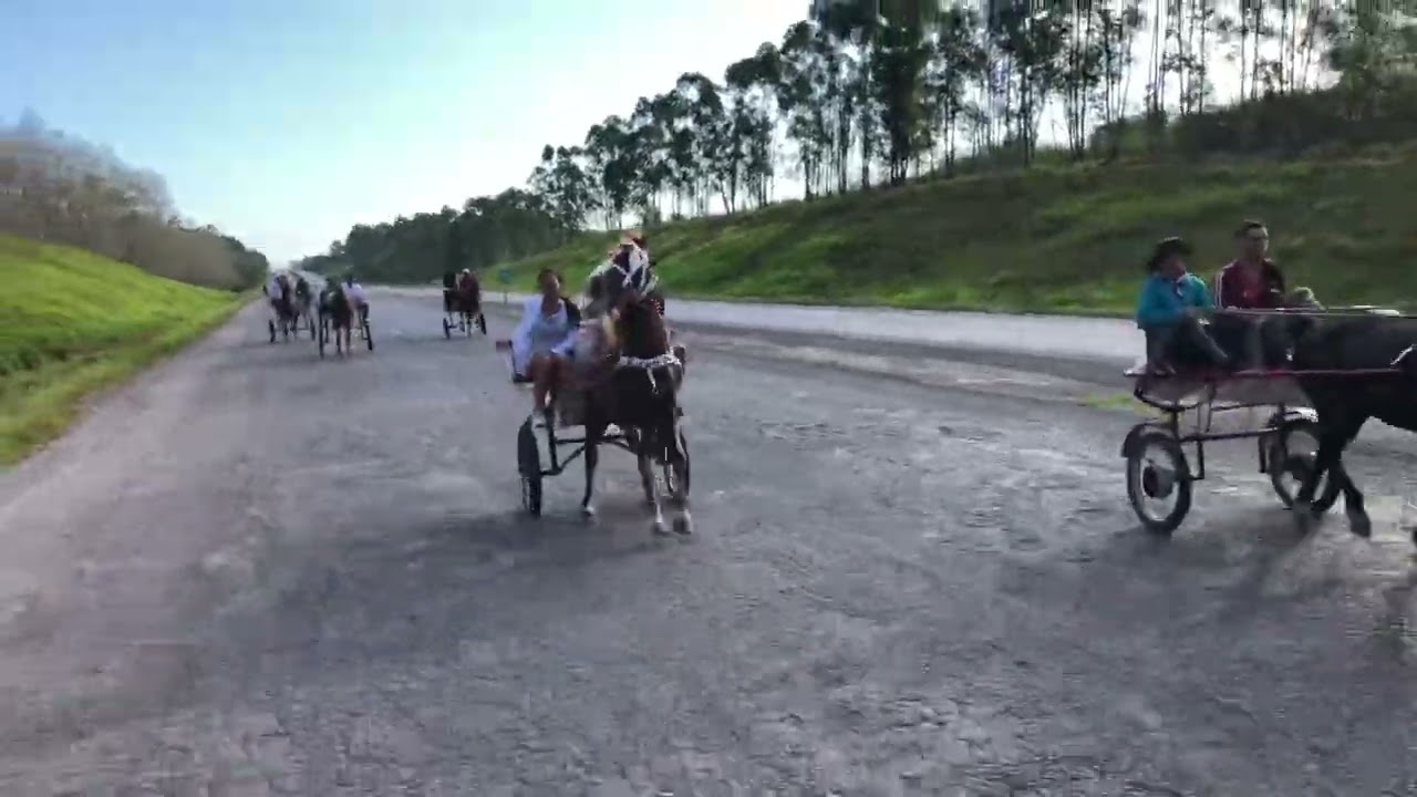 Pilotos 2020