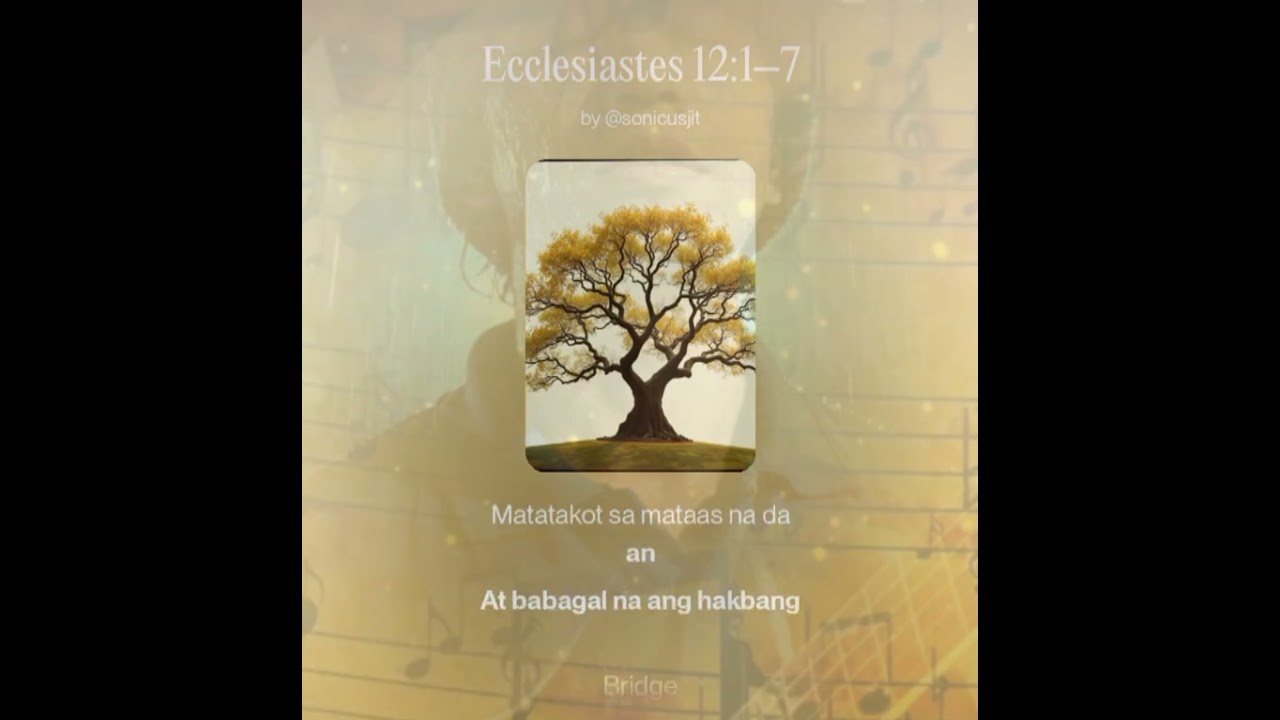 Ecclesiastes 12:1-7 (#mcgicares #mcgishines #inspiredbymcgi #mcigcommunity) 