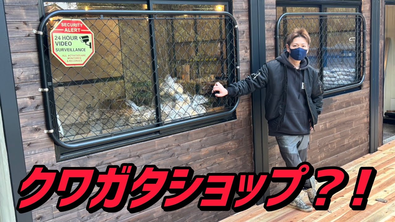 クワガタカブト虫に全てを捧げた男の１つの夢が叶う日