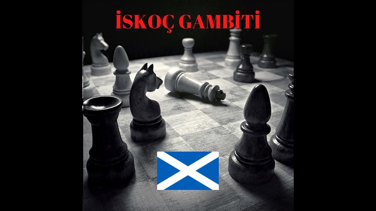 İSKOÇ GAMBİTİ (DETAYLI ANLATIM)