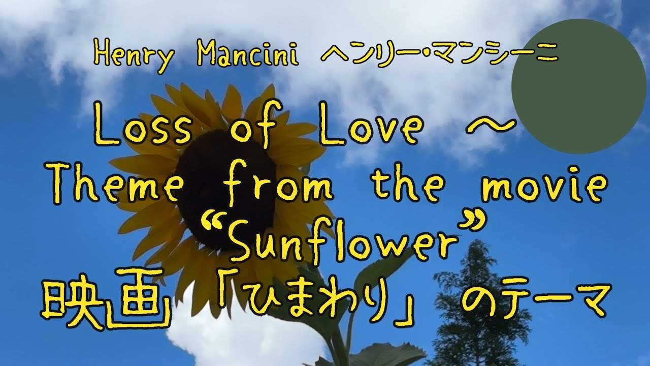 映画「ひまわり」のテーマ Loss of Love ～ Theme from the movie 