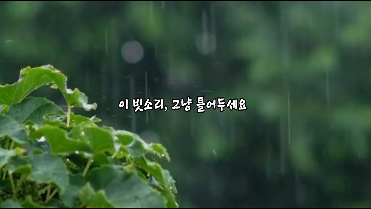 지금 이 빗소리, 그냥 틀어주세요...  | 빗소리 | 완전한 휴식 #rainsounds #휴식