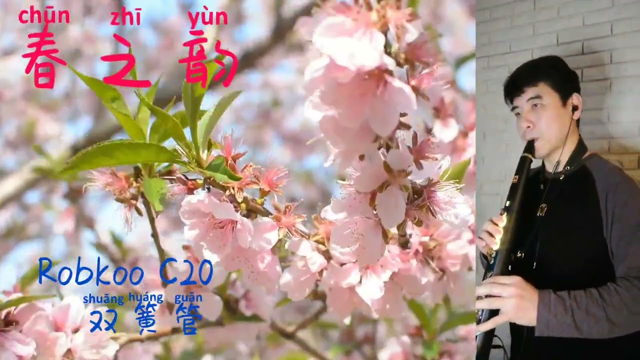 #春之韵#robkoo C20#oboe