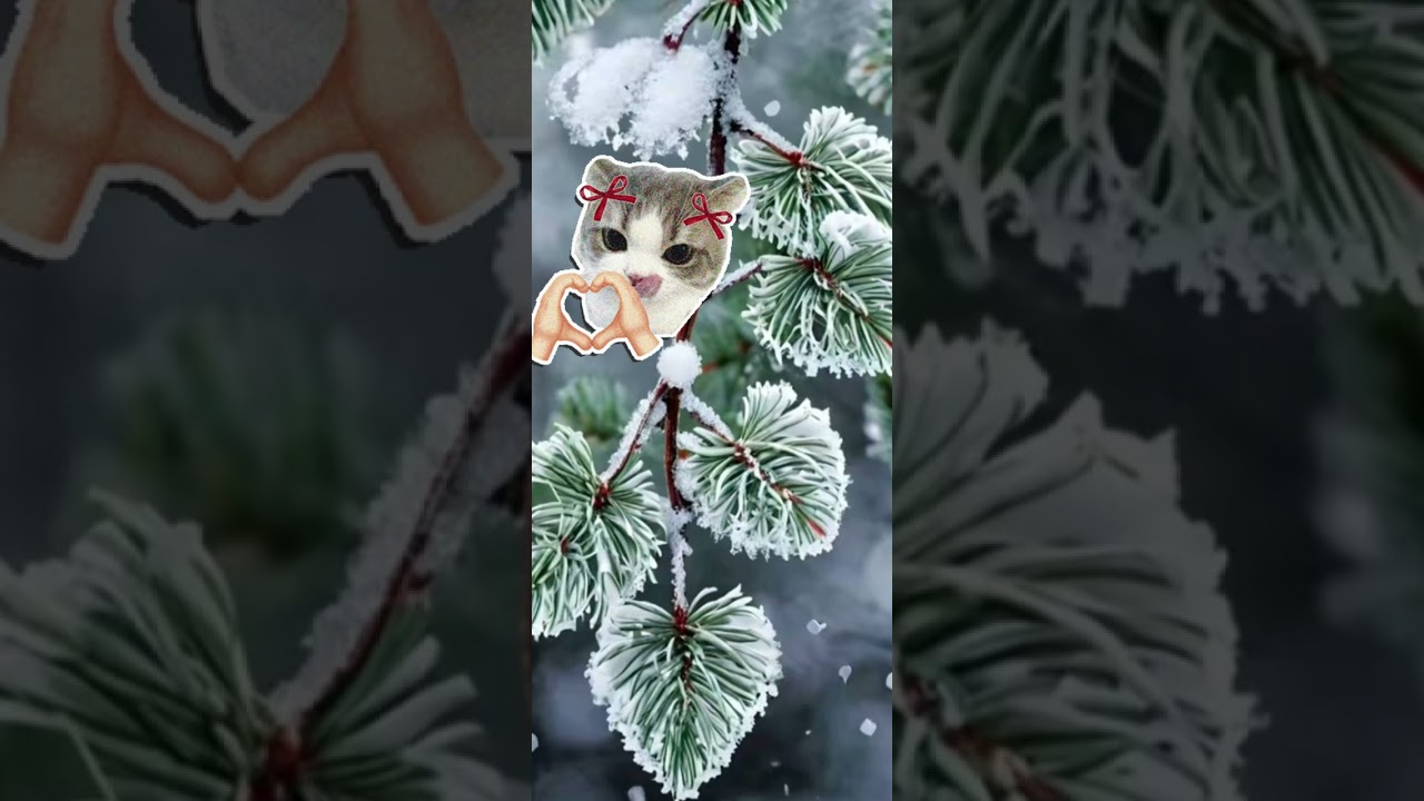 Žiemos šviesos