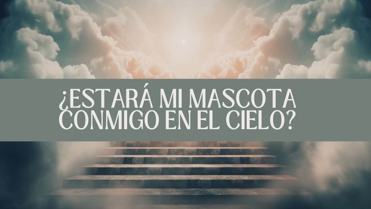 ¿Estará mi mascota conmigo en el Cielo?