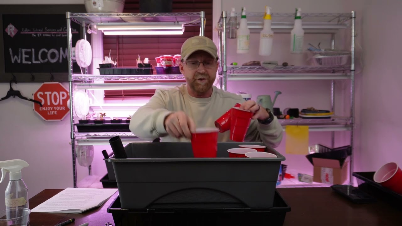 Growing Food Indoors Using Self Watering Planters