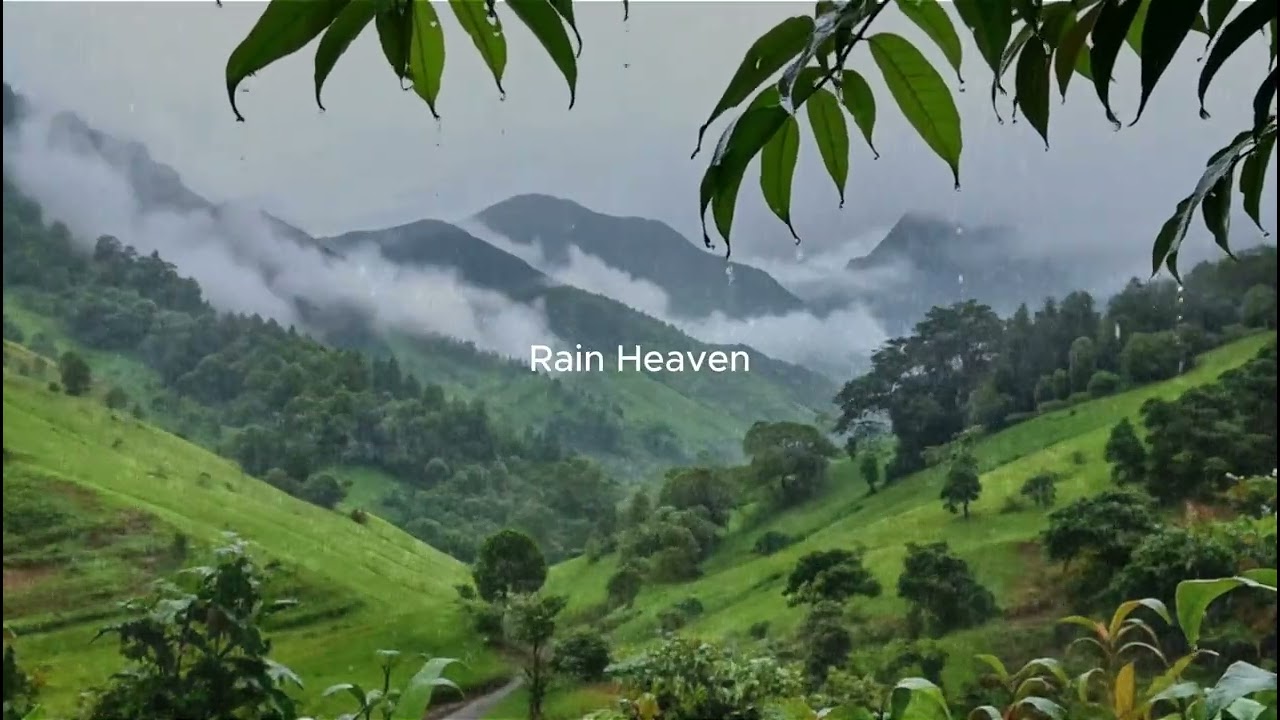 Rain and Thunderstorm Sounds | Relaxing Night Ambience