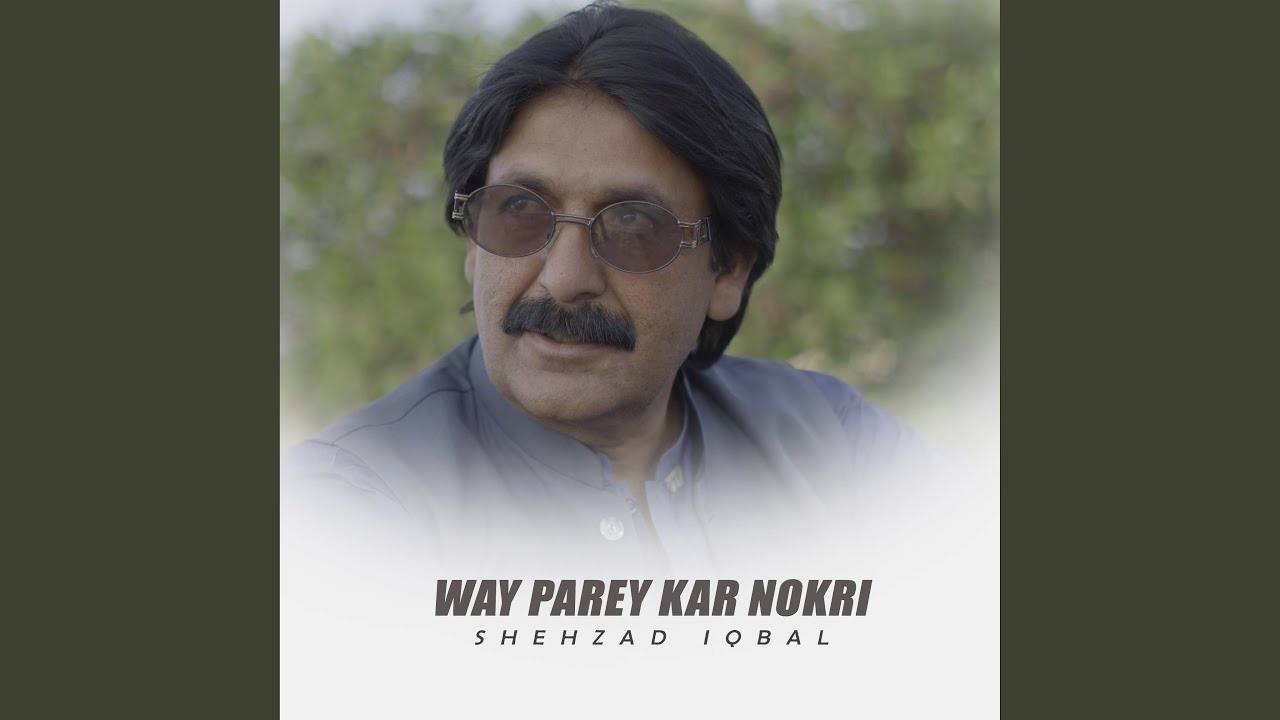 Way Parey Kar Nokri