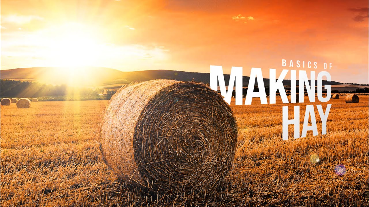 The Basics of Making Hay – Forage & Livestock Town Hall (Full Meeting)