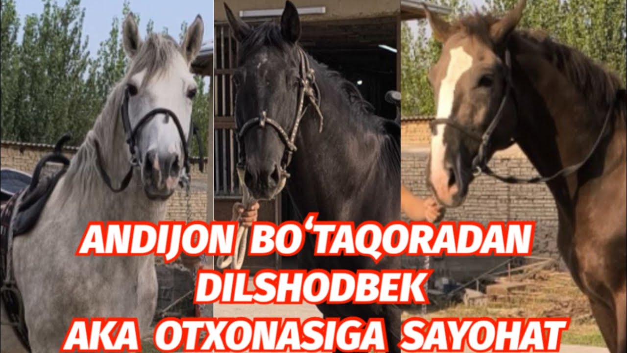 ANDIJON BOʻTAQORADAN DILSHODBEK OTXONASIGA SAYOHAT