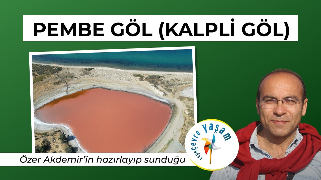Çanakkale'deki Pembe (Kalpli) Göl tüm zorluklara rağmen yaşama tutunmaya çalışıyor | ÇEPEÇEVRE YAŞAM