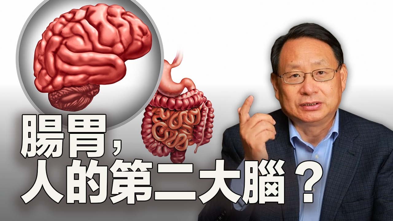 消化道與大腦有什麼關聯？為什麼被稱為第二大腦？怎樣呵護它？
