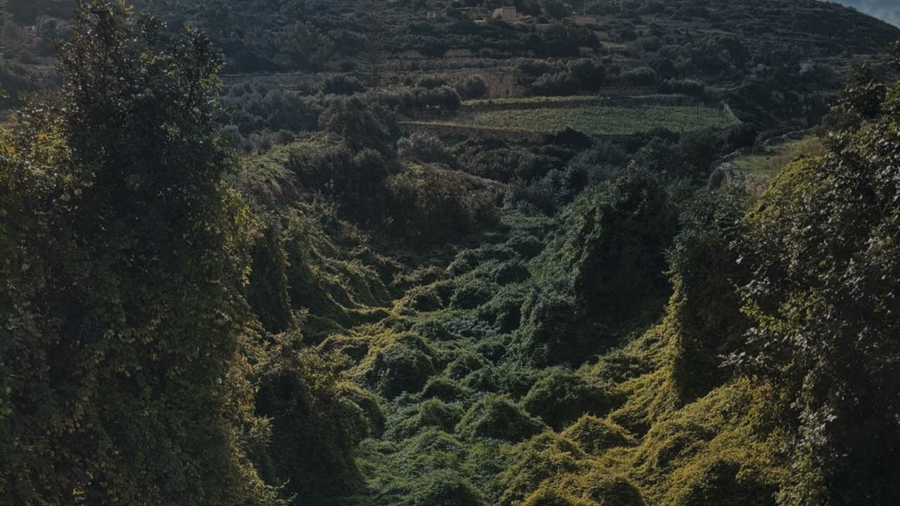 Calder – Listen