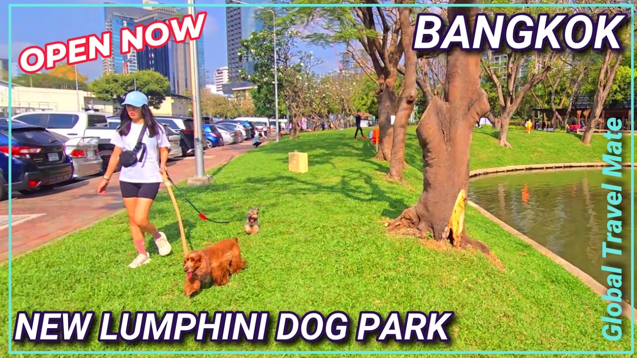 NEW Bangkok Lumphini Dog Park Open Now 🇹🇭 Thailand