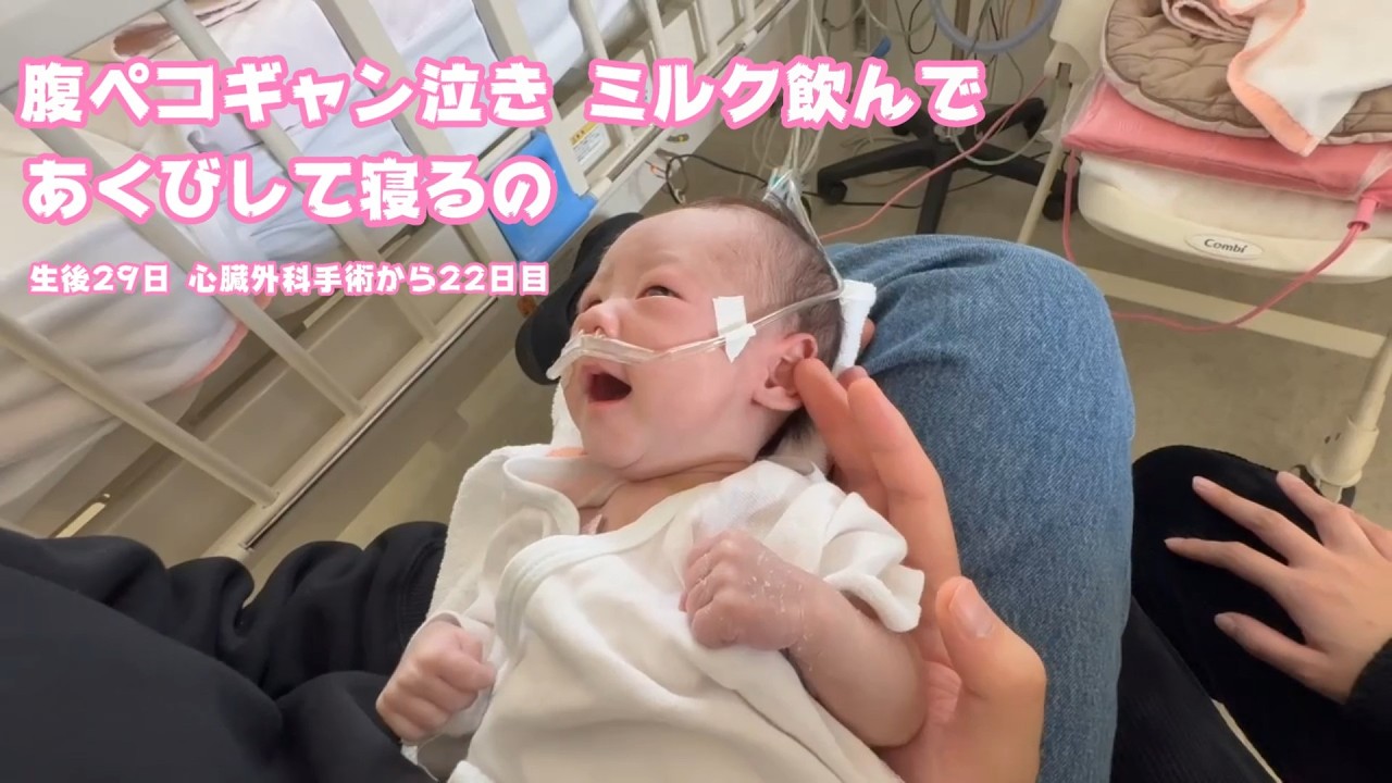 お腹空いてギャン泣きしてミルク飲んでアクビして寝るの  生後29日 心臓外科手術から22日目　スイカ頑張ってます   2026 02 11 2