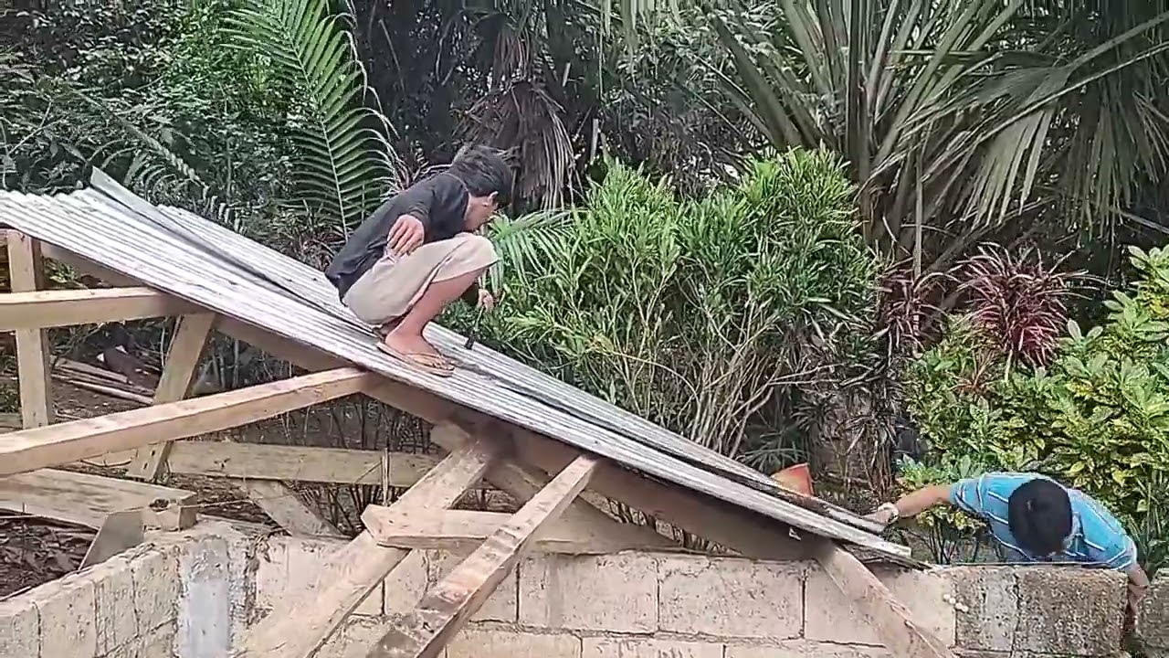 Got Rid Of Some Typhoon Damage