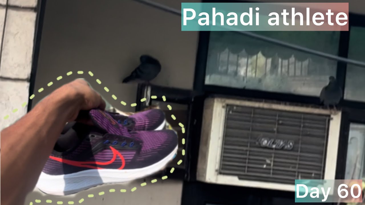 Sunday shoes dho deye .. kabutarki grand masti 😂😂 #vlogs #youtube #india 