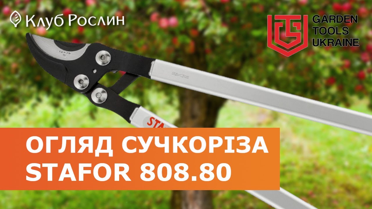 Сучкорез STAFOR 808.80 (Италия) - обзор садового инструмента
