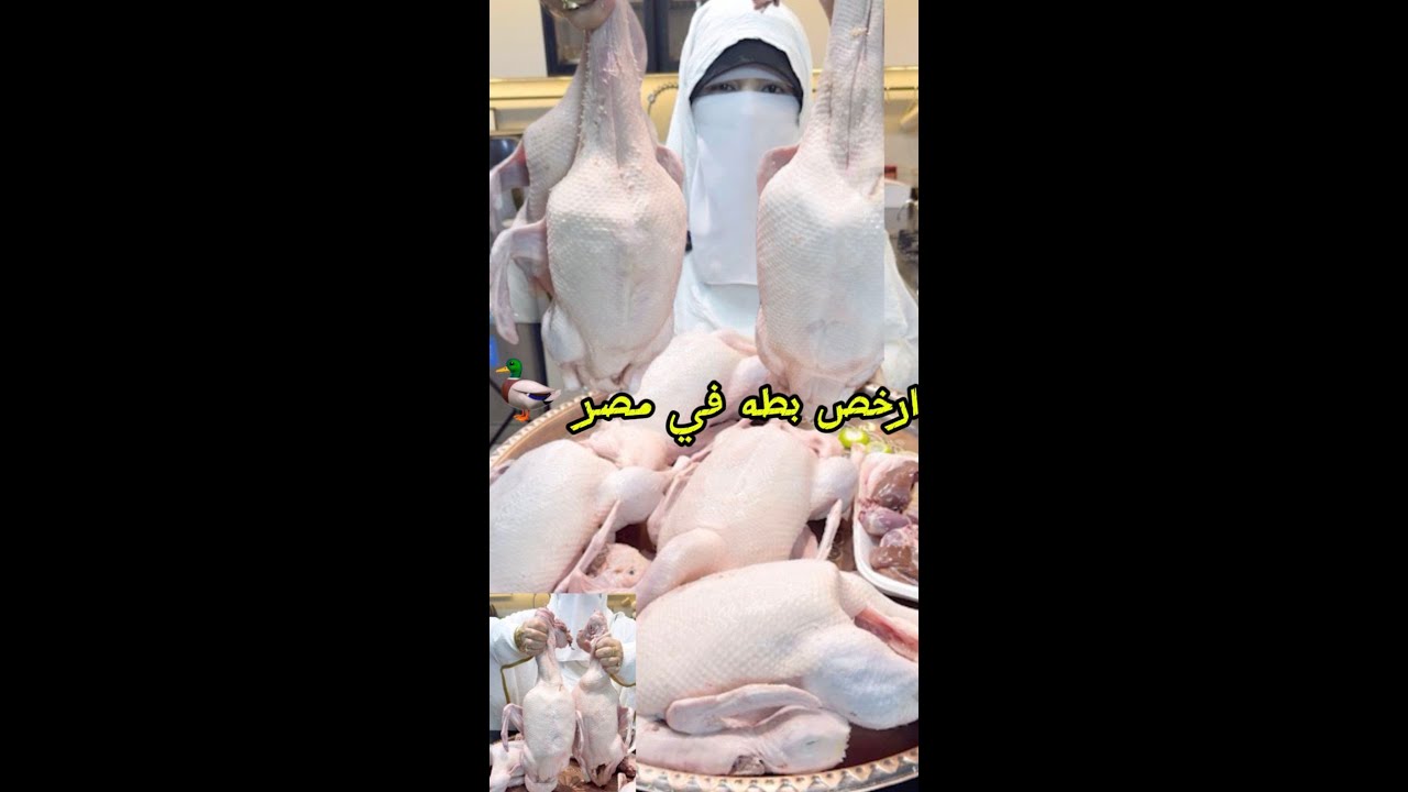 ارخص بطه ف مصر تربيه بيتى مش مزارع بط رمضان🌛💪ارخص وانضف م المتلج وم المحلات لحمه زى السكربدون زفاره💪