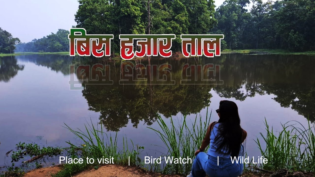 Bis Hazar Taal | Chitwan National Park | Wild life | Bird Watch