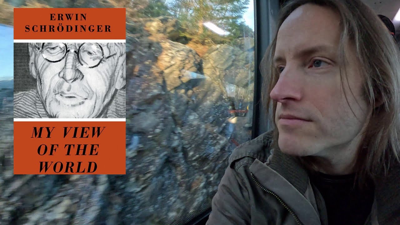 Schr&ouml;dinger's book on the idiotic conundrum