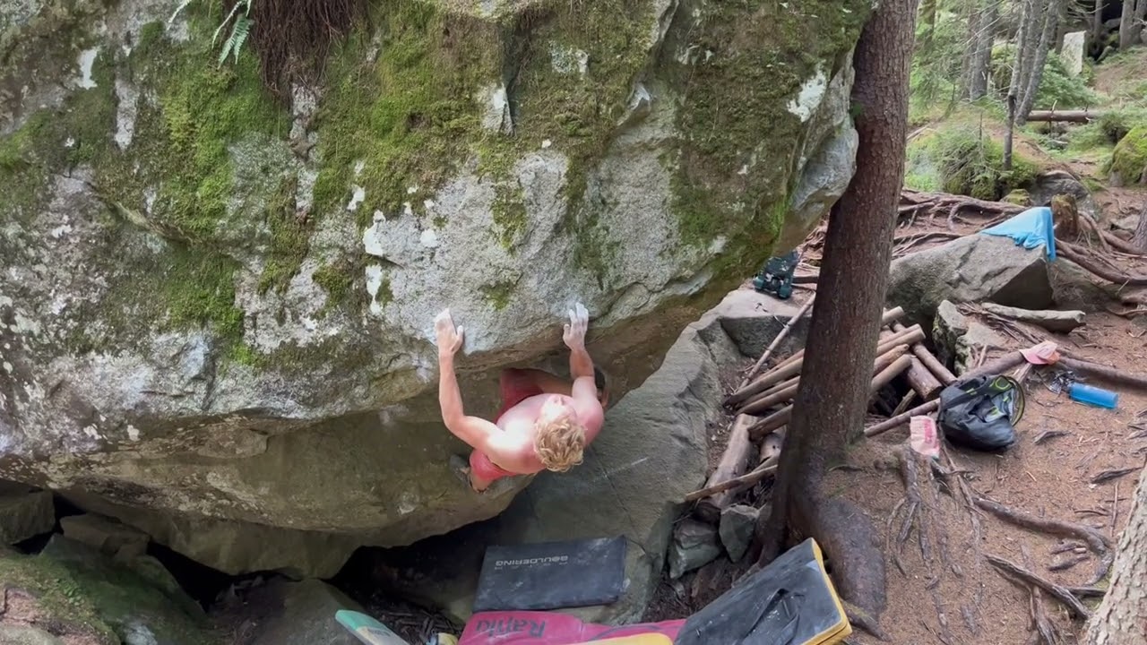 Cockbit 7B+ Zillertal