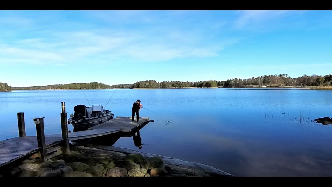Siikaa Mökkisaaressa 2. 4. 2025