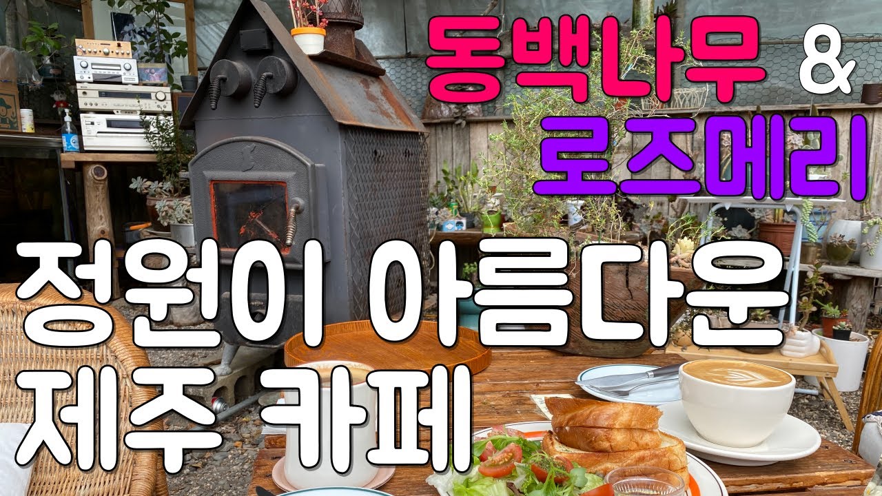 예쁜 정원의 브런치 카페 in Jeju 동백꽃/ 로즈메리 / 병아리