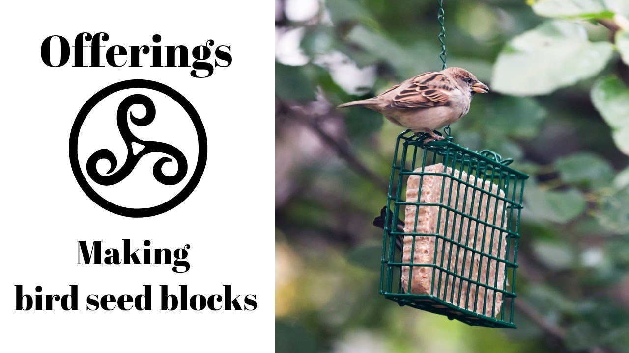 Offerings...Making Bird Seed Blocks