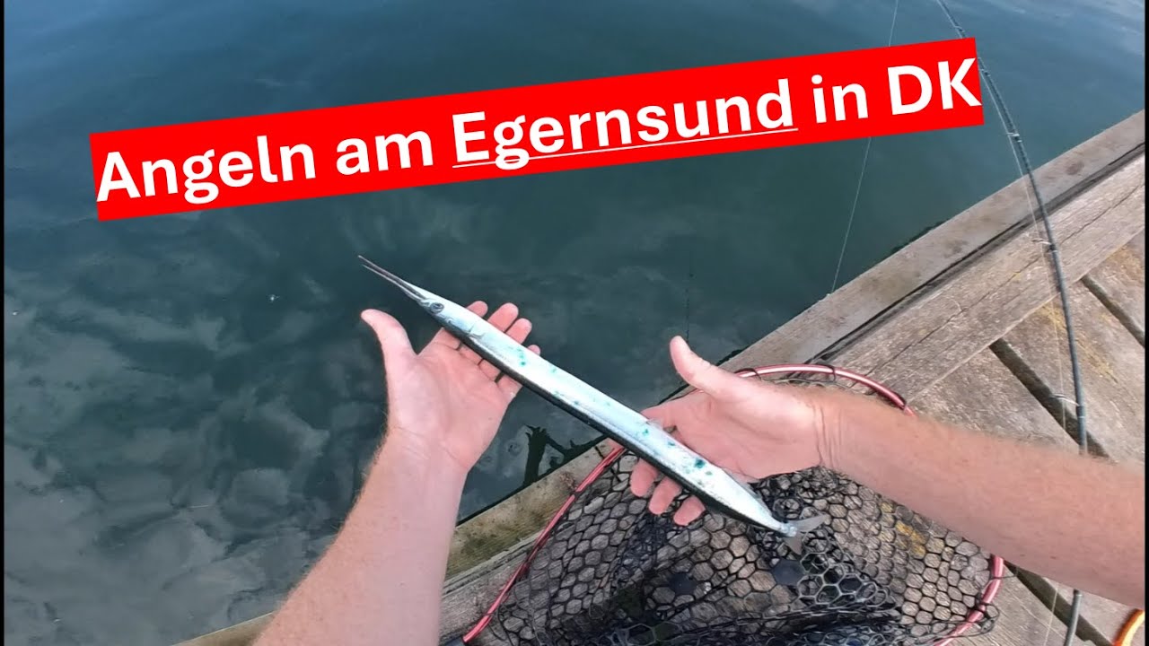 Angeln am Egernsund in Dänemark